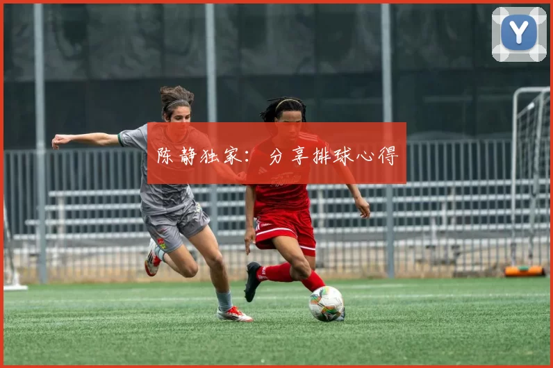 陈静独家：分享排球心得