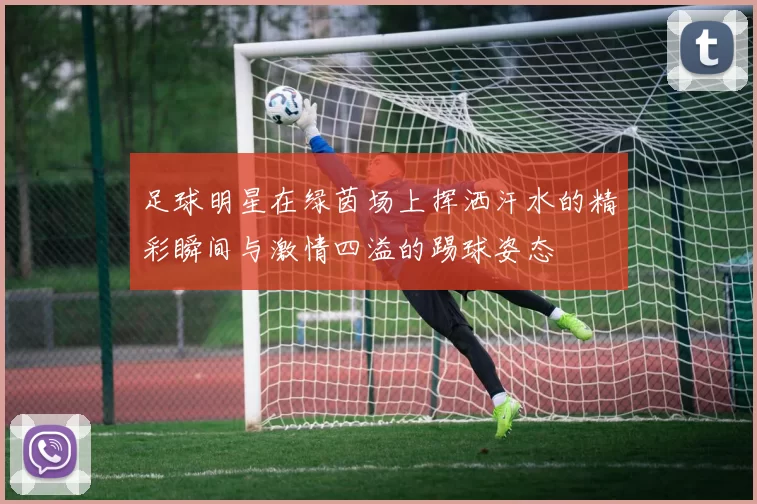 足球明星在绿茵场上挥洒汗水的精彩瞬间与激情四溢的踢球姿态