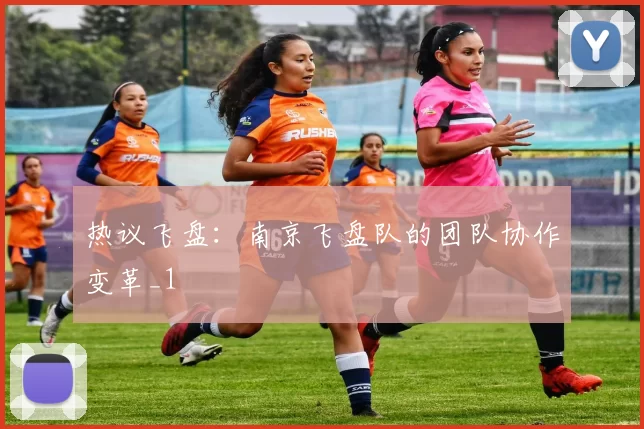 热议飞盘：南京飞盘队的团队协作变革_1
