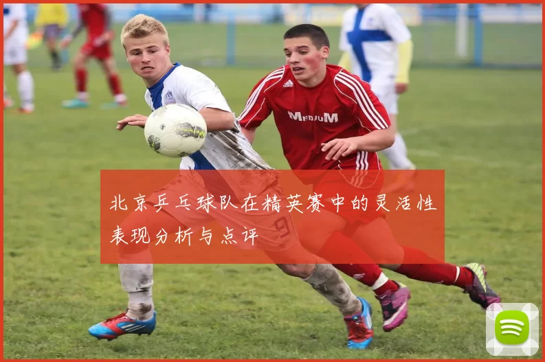 北京乒乓球队在精英赛中的灵活性表现分析与点评