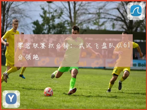 攀岩联赛积分榜：武汉飞盘队以61分领跑