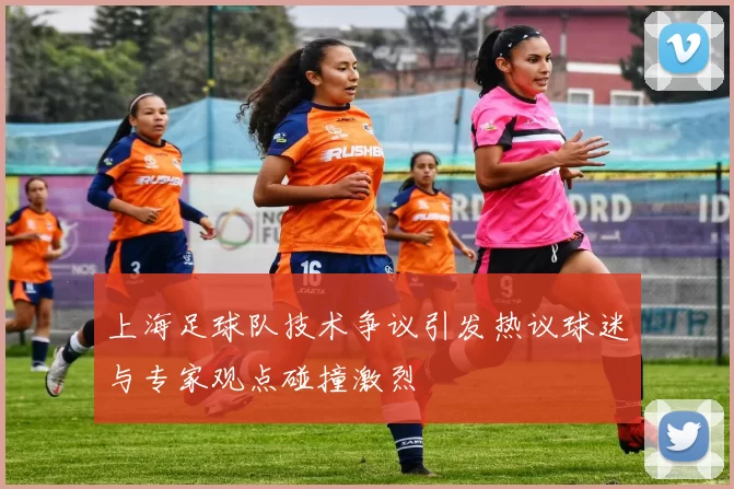 上海足球队技术争议引发热议球迷与专家观点碰撞激烈