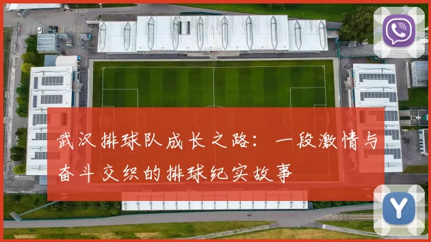 武汉排球队成长之路：一段激情与奋斗交织的排球纪实故事